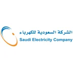 شركاء نجاح سقالات الرواد